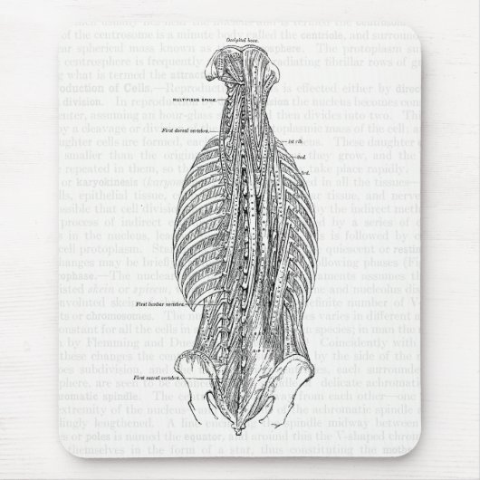  anatomie die de rug trekt muismat (Voorkant)