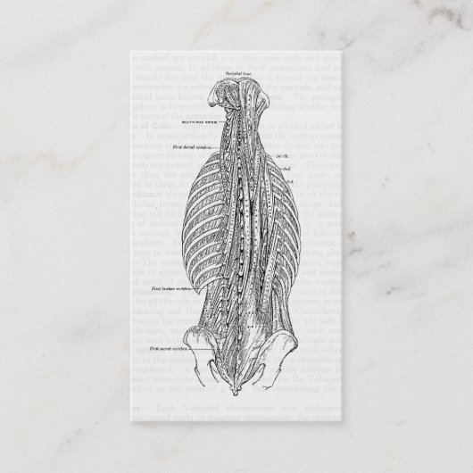 anatomie die de rug trekt visitekaartje (Voorkant)