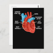 Anatomie-educatie hartdiologie briefkaart (Voorkant / Achterkant)