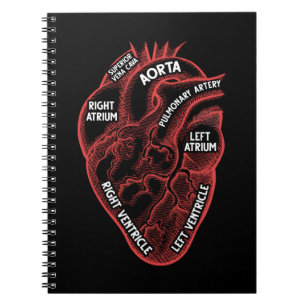 Anatomie-educatie hartdiologie notitieboek