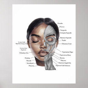 Anatomie Gezicht Print 3