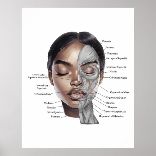 Anatomie Gezicht Print 3 (Voorkant)
