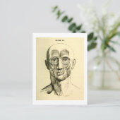  anatomie | Gezichtsspieren (circa 1852) Briefkaart (Staand voorkant)