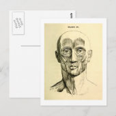  anatomie | Gezichtsspieren (circa 1852) Briefkaart (Voorkant / Achterkant)