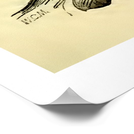  anatomie | Gezichtsspieren (circa 1852) Poster (Hoek)