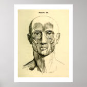  anatomie | Gezichtsspieren (circa 1852) Poster (Voorkant)
