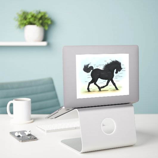 Anatomie Grafiek voor paardeneducatie Sticker (Laptop op bureau)