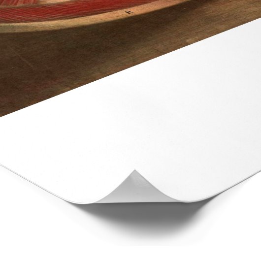  anatomie | Hals en gezicht Poster (Hoek)