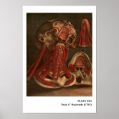  anatomie | Hals en gezicht Poster (Voorkant)