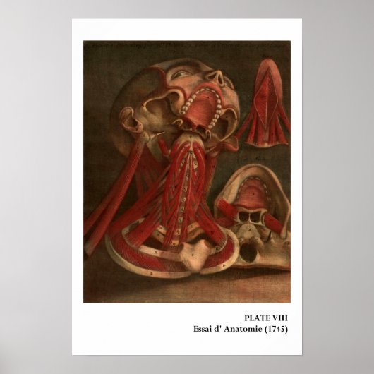  anatomie | Hals en gezicht Poster (Voorkant)