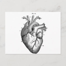 Anatomie-hart-Afbeeldingen- Briefkaart