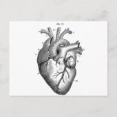 Anatomie-hart-Afbeeldingen- Briefkaart (Voorkant)