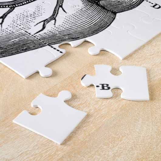 Anatomie-hart-Afbeeldingen- Legpuzzel (Zijkant)