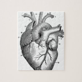 Anatomie-hart-Afbeeldingen- Legpuzzel