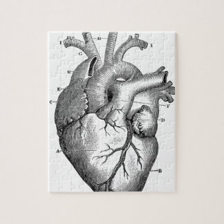 Anatomie-hart-Afbeeldingen- Legpuzzel