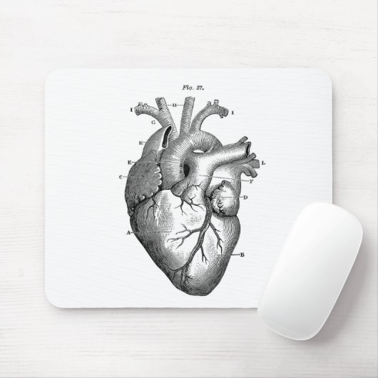 Anatomie-hart-Afbeeldingen- Muismat (Met muis)