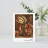 anatomie | Hoofd en nek Briefkaart (Staand voorkant)