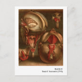  anatomie | Hoofd en nek Briefkaart (Voorkant)