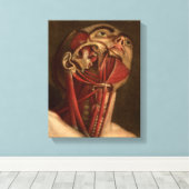 anatomie | Hoofd en nek Canvas Afdruk (Insitu (Houten vloer))