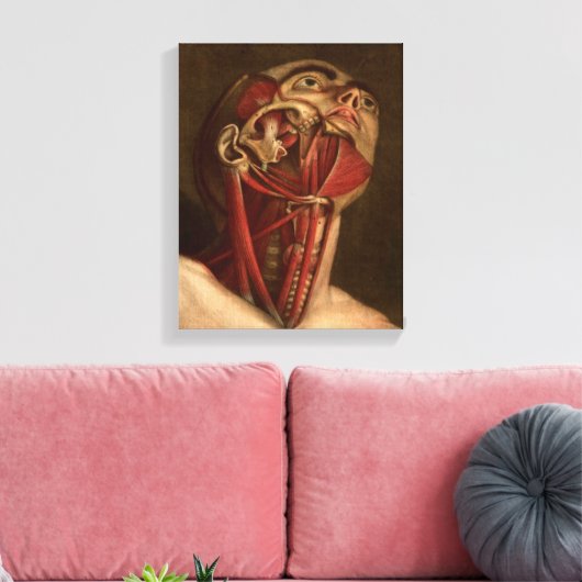  anatomie | Hoofd en nek Canvas Afdruk (Insitu (Woonkamer))