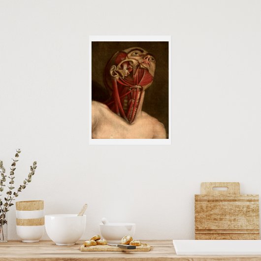  anatomie | Hoofd en nek Poster (Keuken)