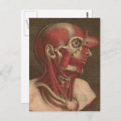  anatomie | Hoofd, nek en schouders Briefkaart (Voorkant / Achterkant)