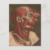 anatomie | Hoofd, nek en schouders Briefkaart (Voorkant)