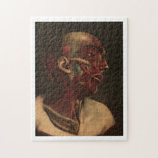  anatomie | Hoofd, nek en schouders Legpuzzel (Verticaal)