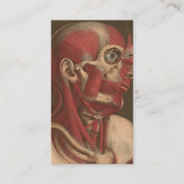  anatomie | Hoofd, nek en schouders Visitekaartje