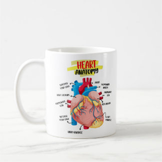 Anatomie Human Heart Cardiologen Doctor Anatomica Koffiemok