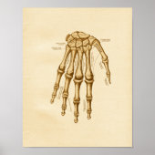  anatomie Illustratie hand-pols Botten Poster (Voorkant)