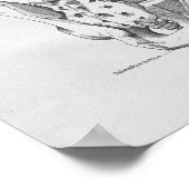  anatomie Illustratie Pelvic Botten Poster (Hoek)