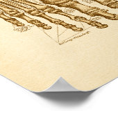 anatomie illustratie van Botten Poster (Hoek)