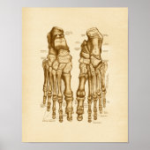  anatomie illustratie van Botten Poster (Voorkant)
