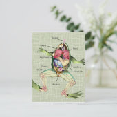 Anatomie illustratie van de kikker briefkaart (Staand voorkant)