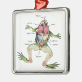 Anatomie illustratie van de kikker metalen ornament (Links)