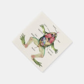 Anatomie illustratie van de kikker servet (Hoek)