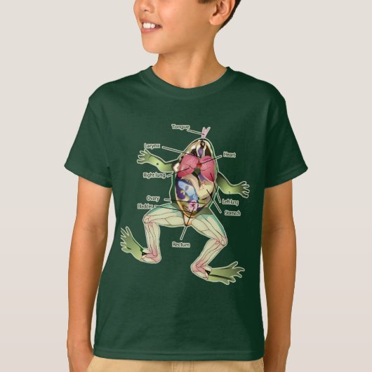 Anatomie illustratie van de kikker t-shirt (Voorkant)