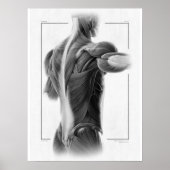 Anatomie in bewegend Poster - 18 x 24 (Voorkant)