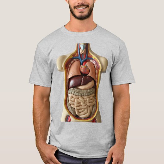 Anatomie inwendige organen Transparant persoon T-s T-shirt (Voorkant)