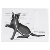 Anatomie Kat Grappig Groot Cadeauzakje (Achterkant)