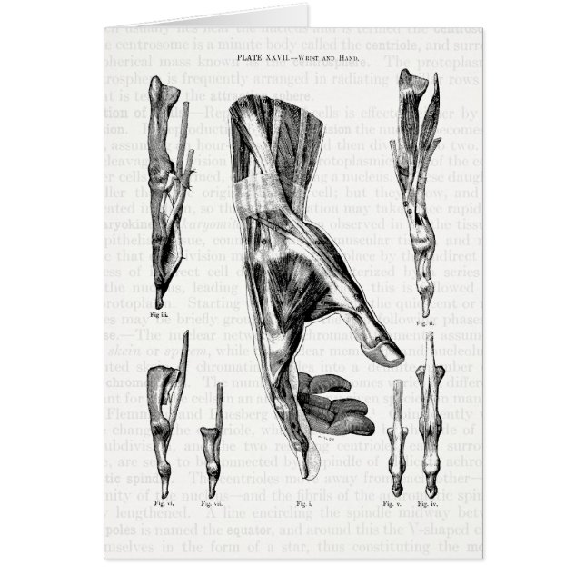 Anatomie Kunst De spieren van de hand en de pols (Voorkant)