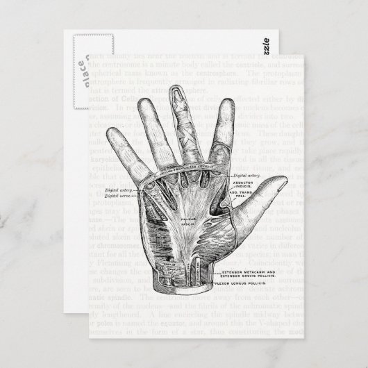  anatomie Kunst Het palm van de hand Briefkaart (Voorkant / Achterkant)