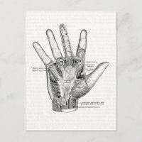 anatomie Kunst Het palm van de hand