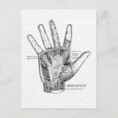  anatomie Kunst Het palm van de hand Briefkaart (Voorkant)