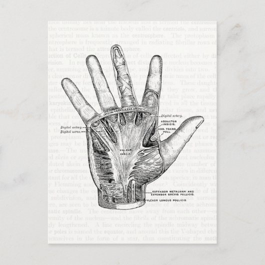  anatomie Kunst Het palm van de hand Briefkaart (Voorkant)