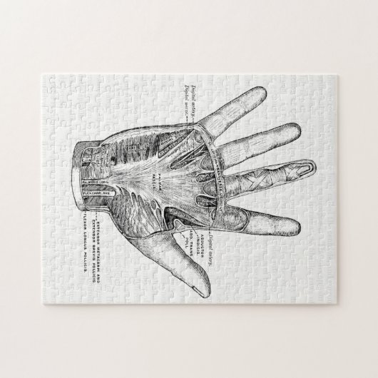  anatomie Kunst Het palm van de hand Legpuzzel (Horizontaal)
