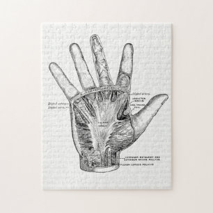anatomie Kunst Het palm van de hand Legpuzzel