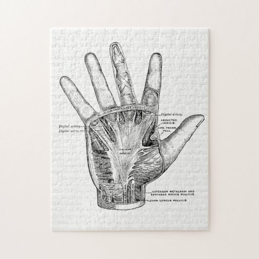 anatomie Kunst Het palm van de hand Legpuzzel (Verticaal)