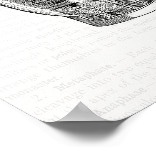  anatomie Kunst Het palm van de hand Poster (Hoek)